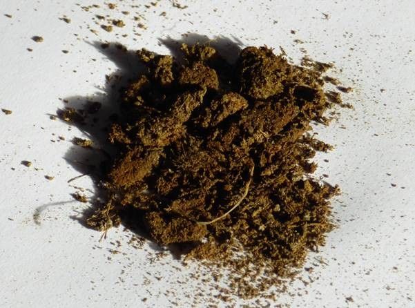 Dried out sample retrieved from the top of the probe auger which connected with the wreck at a depth of 2.2m. This relates precisely with analysis of results from scan 2 of 2013 survey. The sample has subsequently been type casted as Baltic Oak.